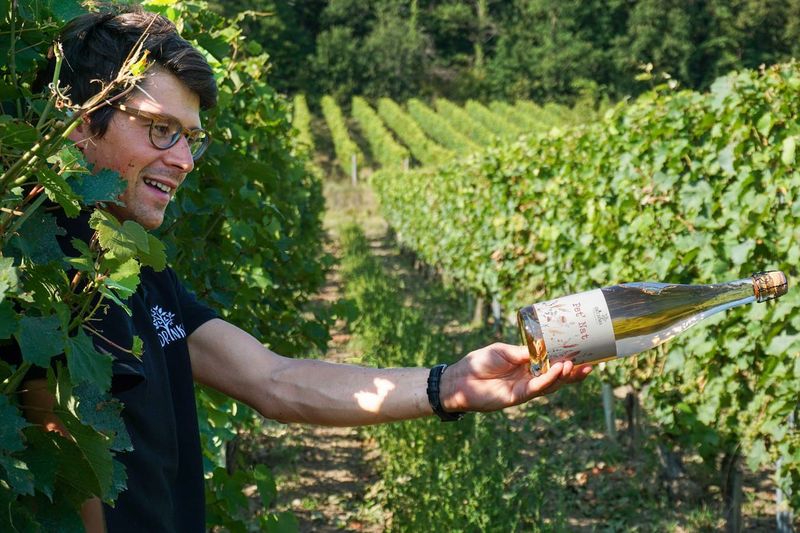 Eco-Friendly Wine Tours in France