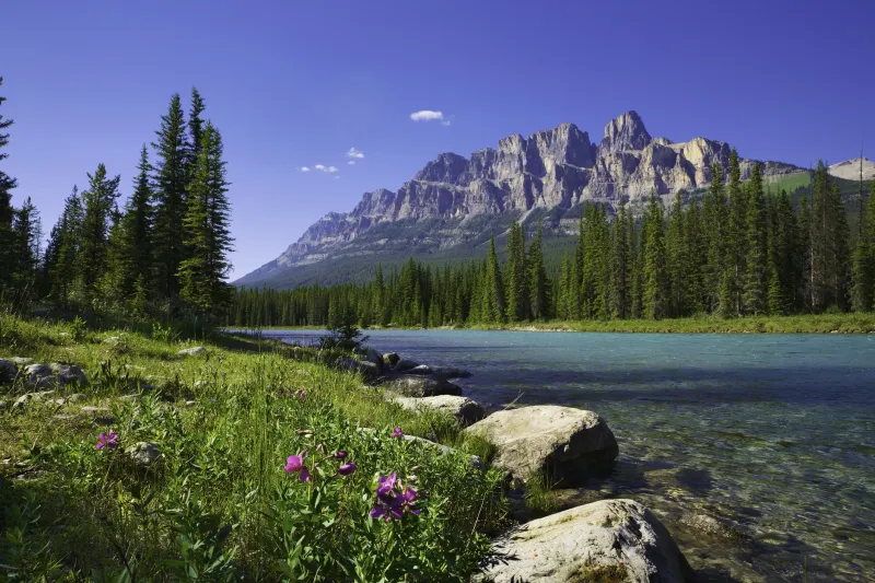 Canada