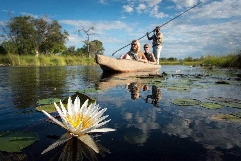 Safari in the Okavango Delta