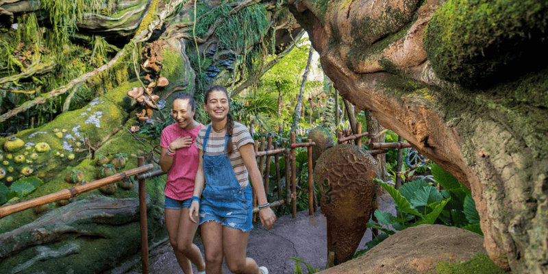 Exploring Offbeat Attractions