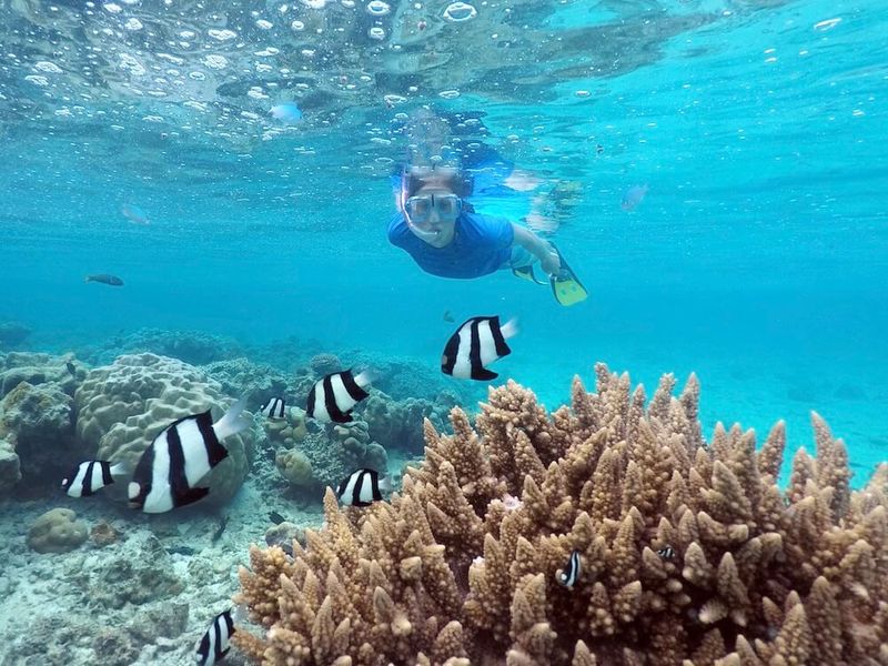 Snorkeling in Marine Reserves