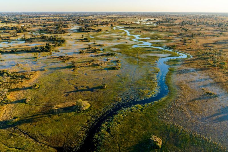 Botswana: The Resilient Okavango Delta