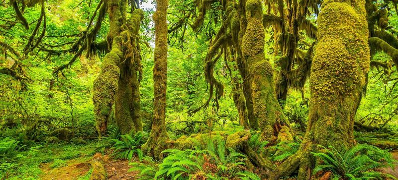 Olympic National Park, Washington