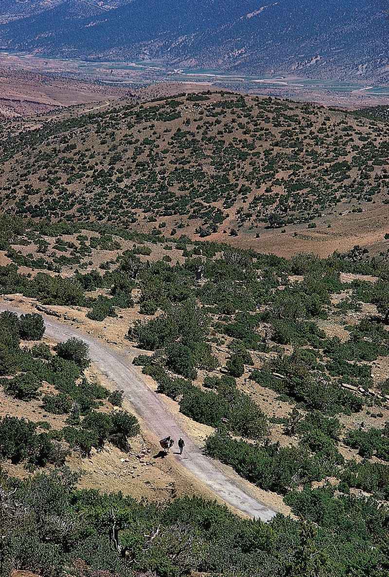 Aures Mountains