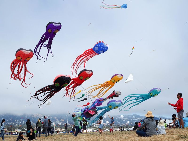 Experience the Berkeley Kite Festival