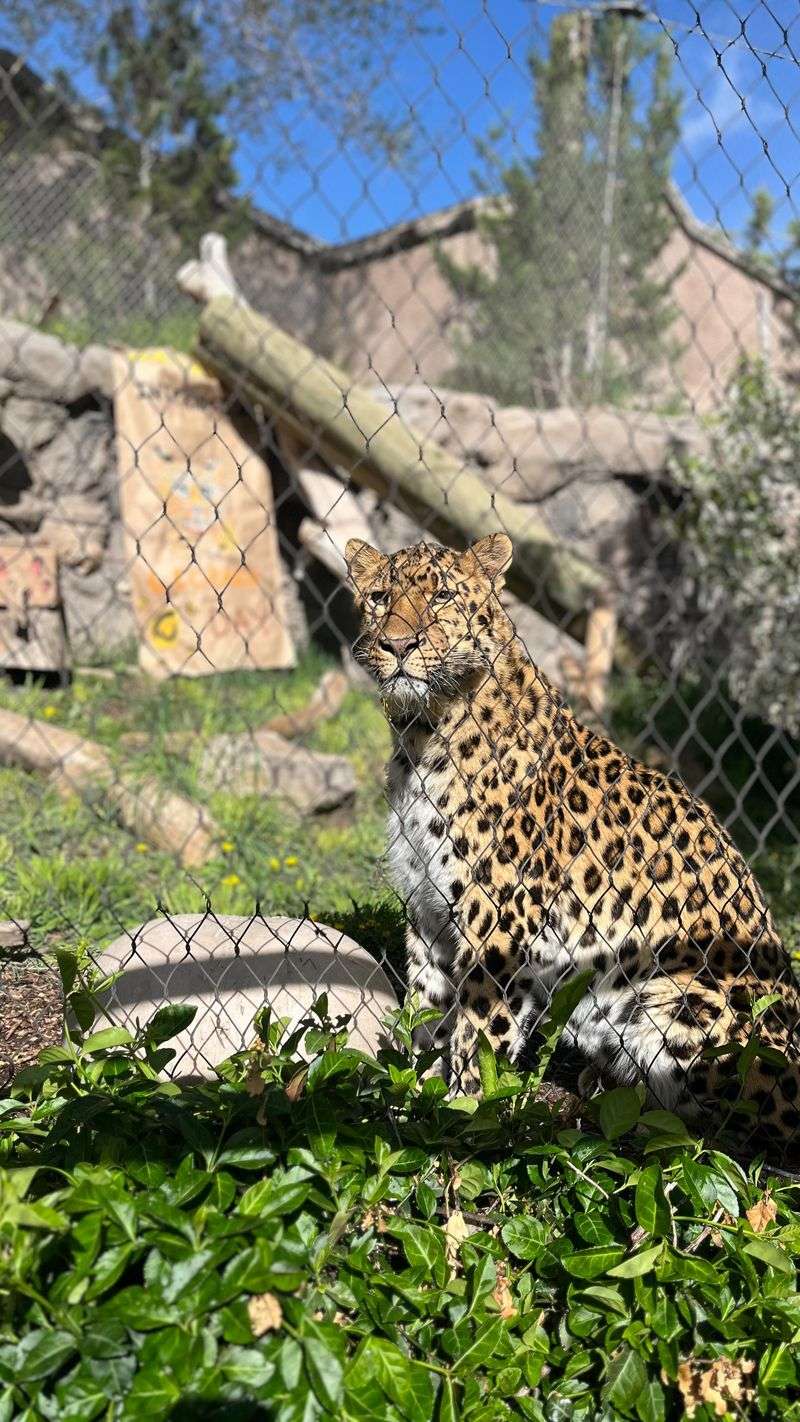 Utah - Hogle Zoo