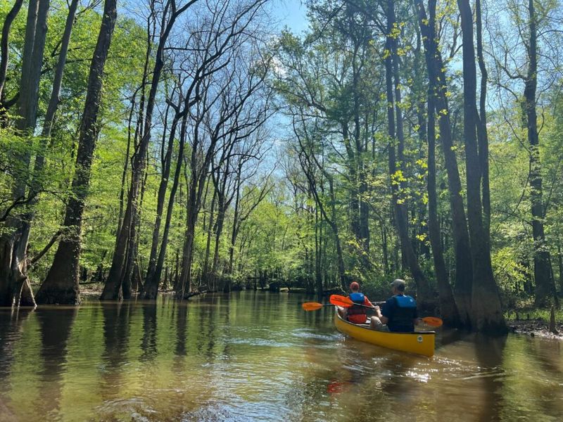 Congaree National Park