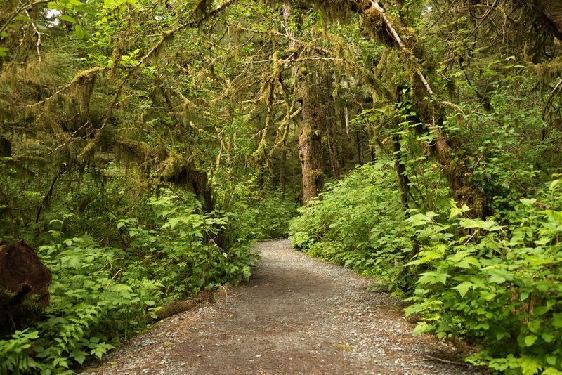 Tongass National Forest