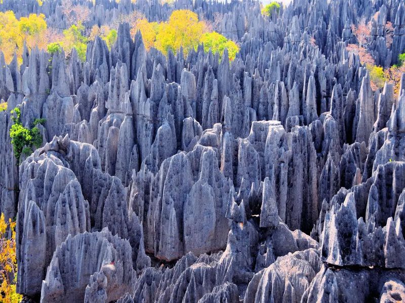 The Mystical Stone Forest of Madagascar