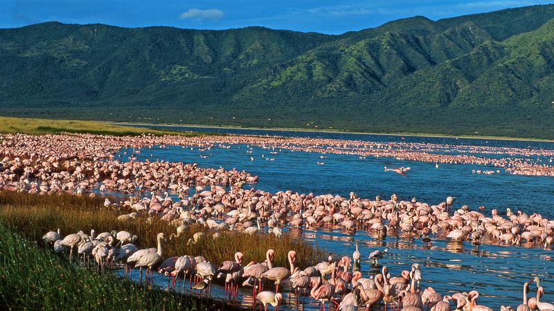 The Scenic Rift Valley Lakes, Kenya