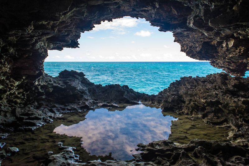 The Shadowy Caves of Barbados' Animal Flower Cave