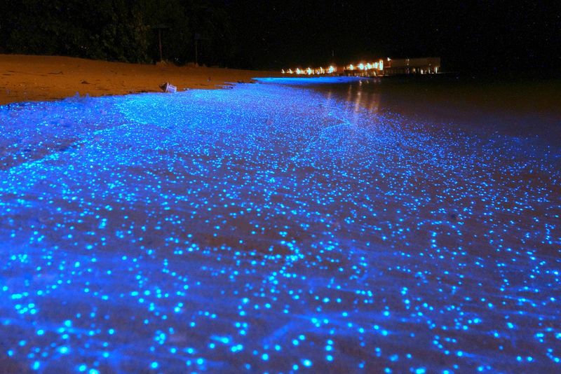 The Sea of Stars
