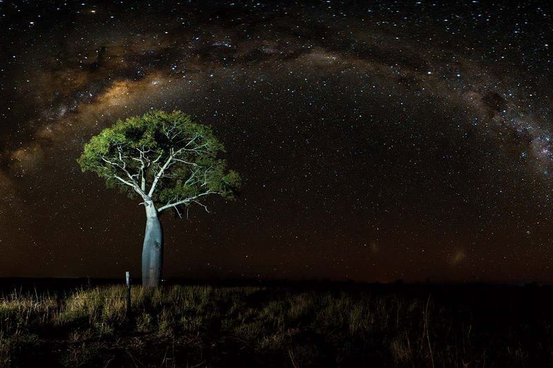 Echoes of the Australian Outback