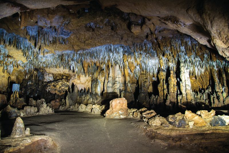 The Florida Caverns State Park