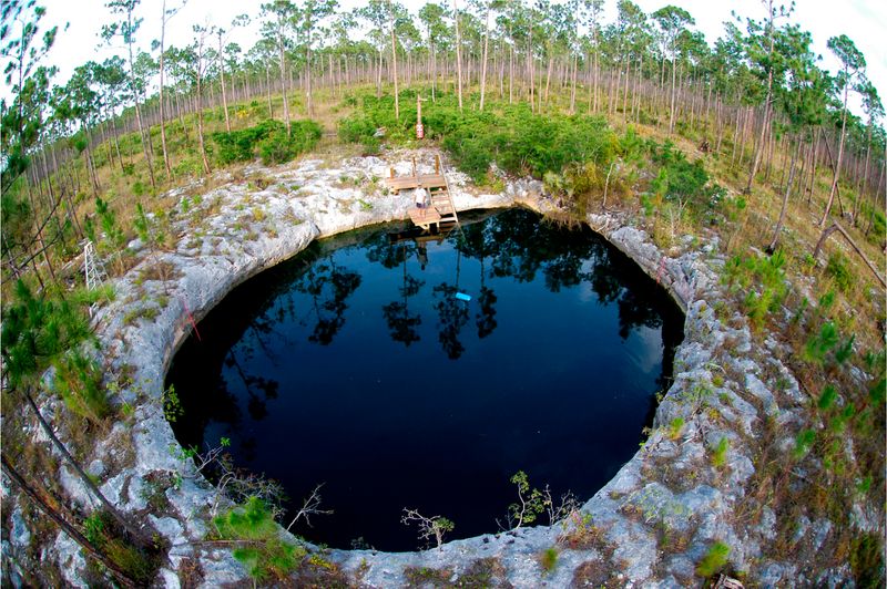 The Sawmill Sink