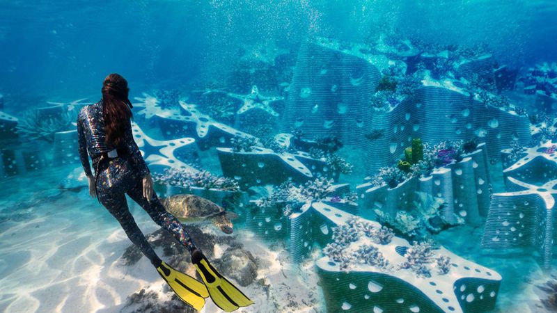 The Unseen Art of Underwater Miami