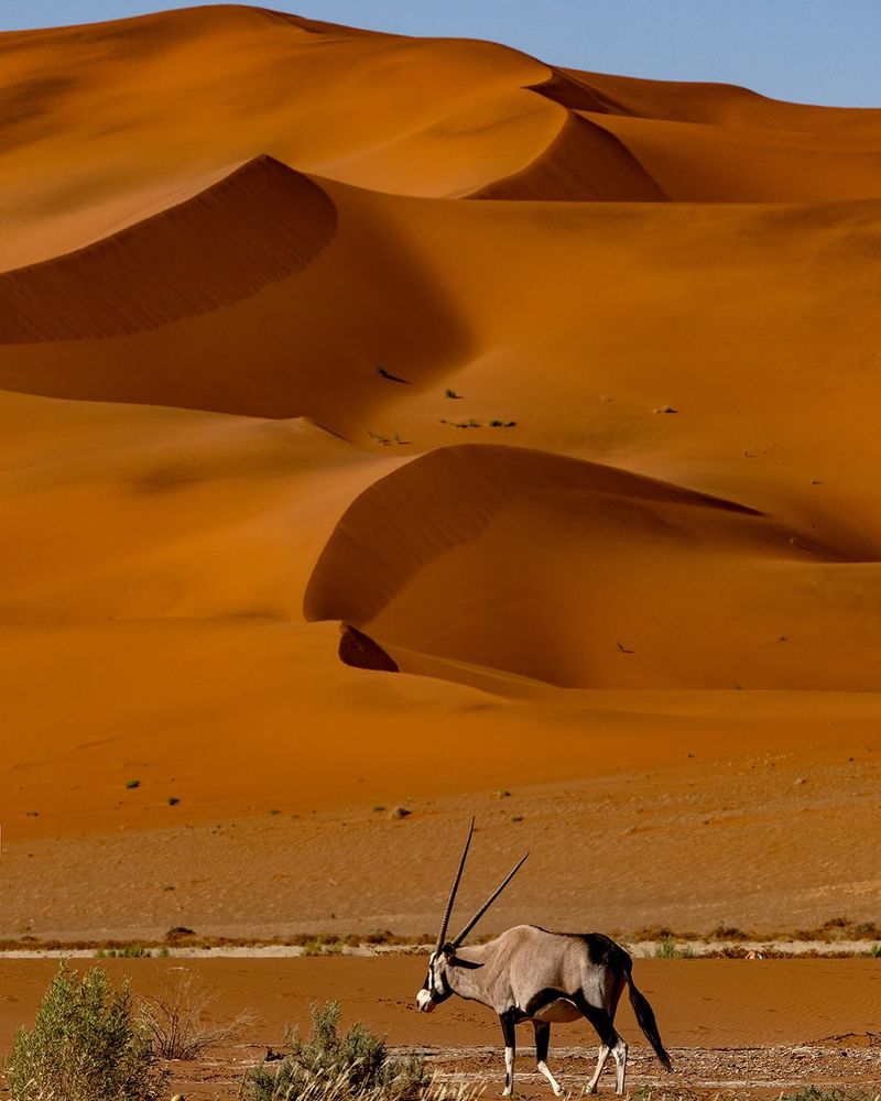Namib Desert, Namibia
