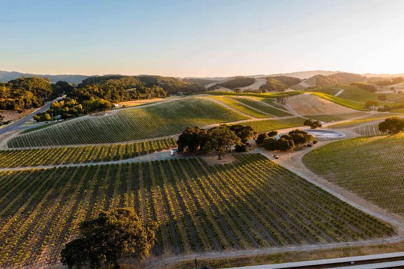 Hidden Valley Vineyard