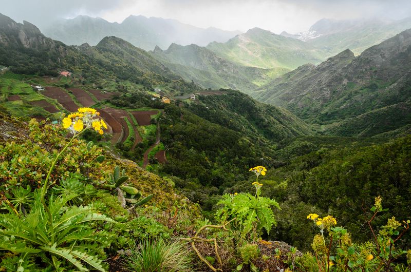 Anaga's Mystical Mountains
