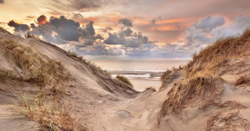 The Whispering Dunes of Schoorl