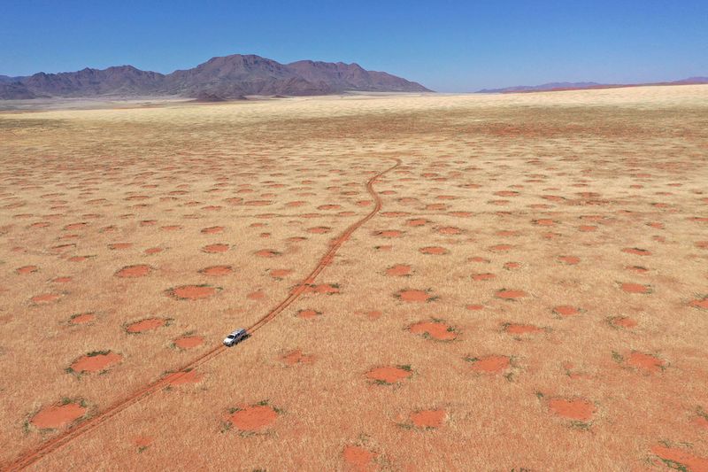 The Fairy Circles of Namibia