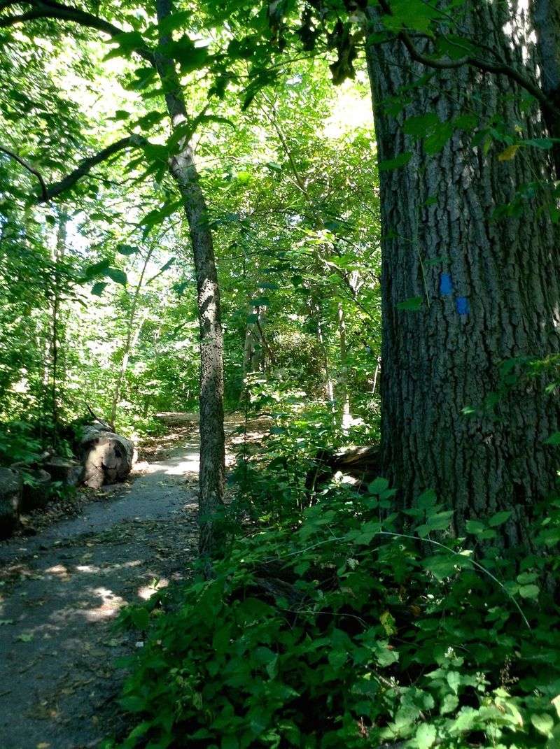 Inwood Hill Park