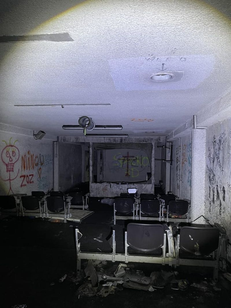 The Theater of Shadows