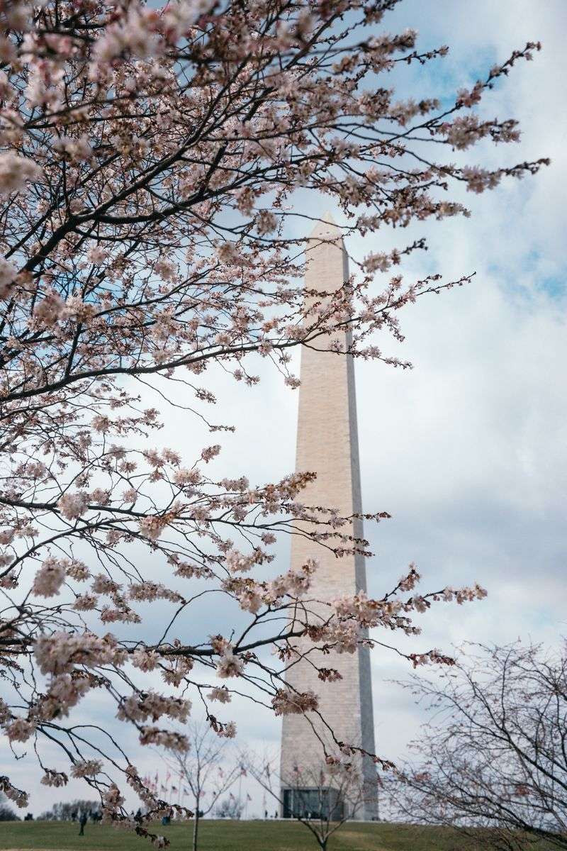 The National Mall, Washington D.C.