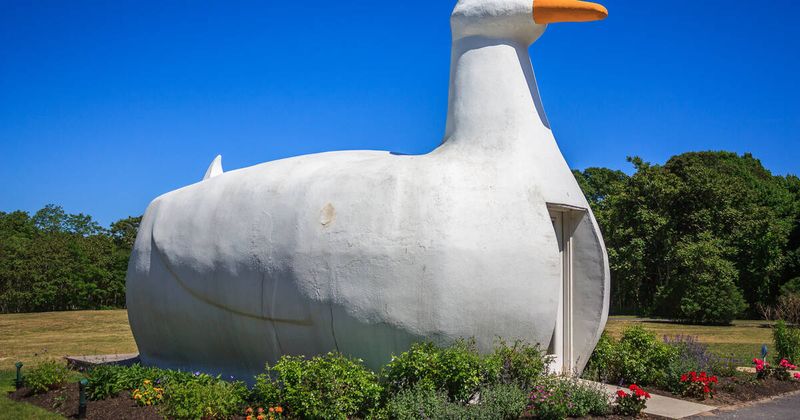 The Big Duck