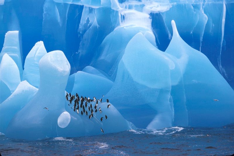 Antarctica