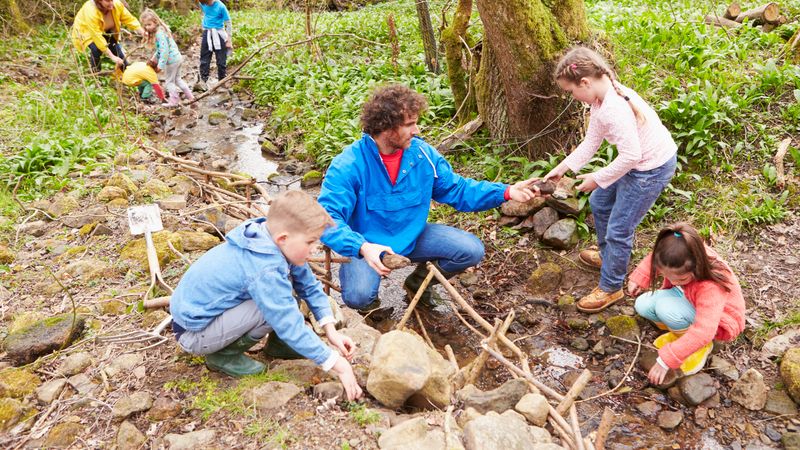 The Wilderness Educator