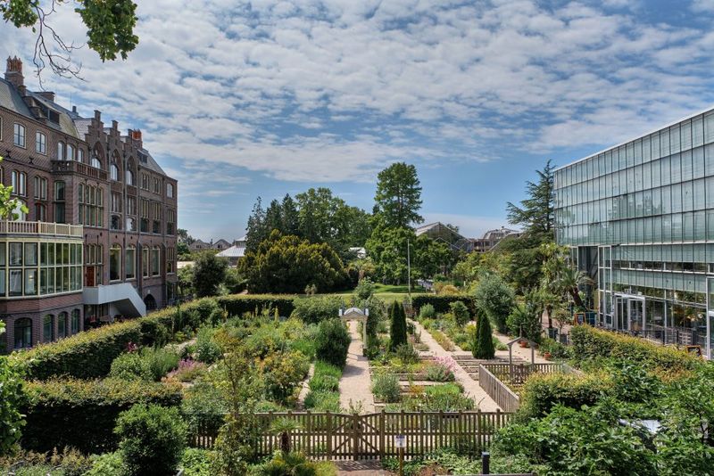 The Secret Garden of Hortus Botanicus Leiden