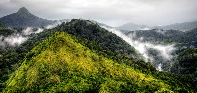 The Silent Valley, India