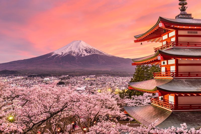 Japan's Harmonious Blend of Tradition and Innovation