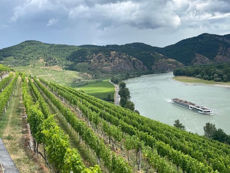 The Serene Landscapes of the Wachau Valley