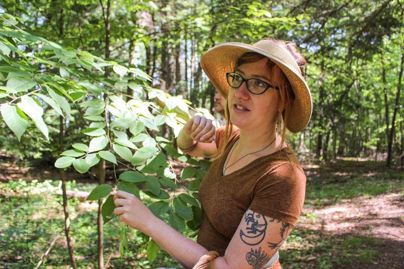 The Mountain Herbalist