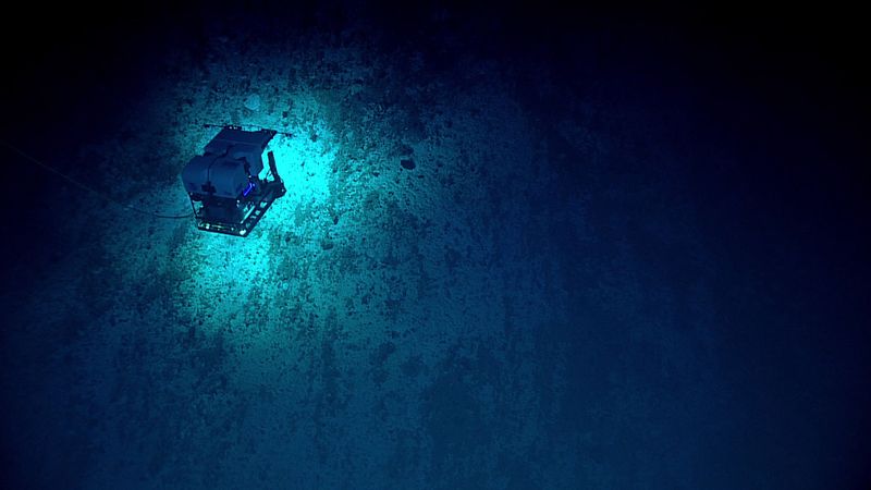 The Mariana Trench