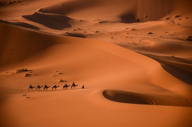 The Sahara Desert, Morocco