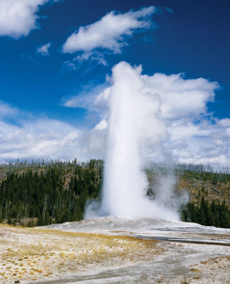 The Old Faithful, Wyoming