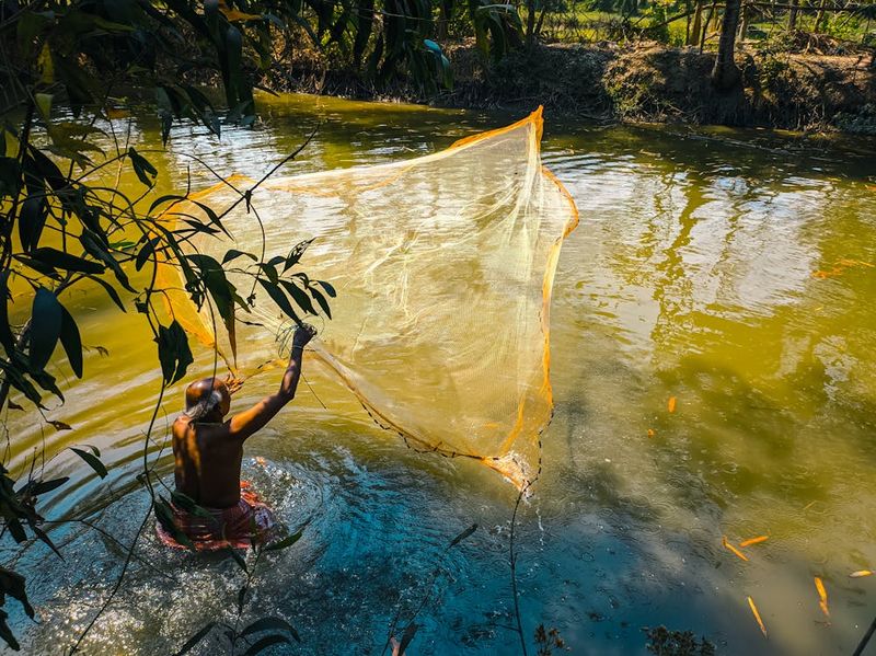 The River Fisher