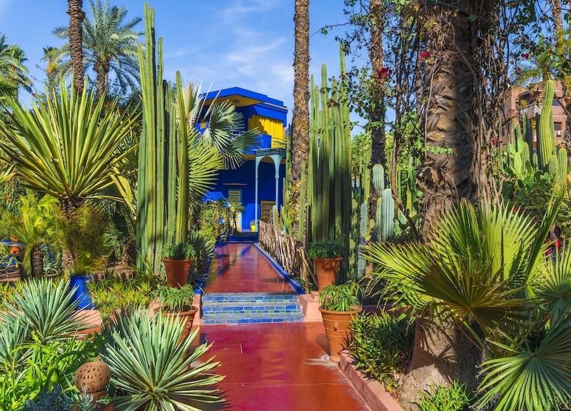 The Tranquil Gardens of Majorelle, Morocco