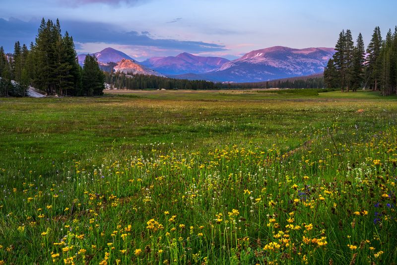 Yosemite's Tuolumne Meadows, USA