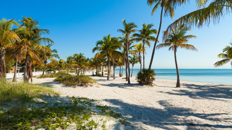 The Sound of Silence at Crandon Park
