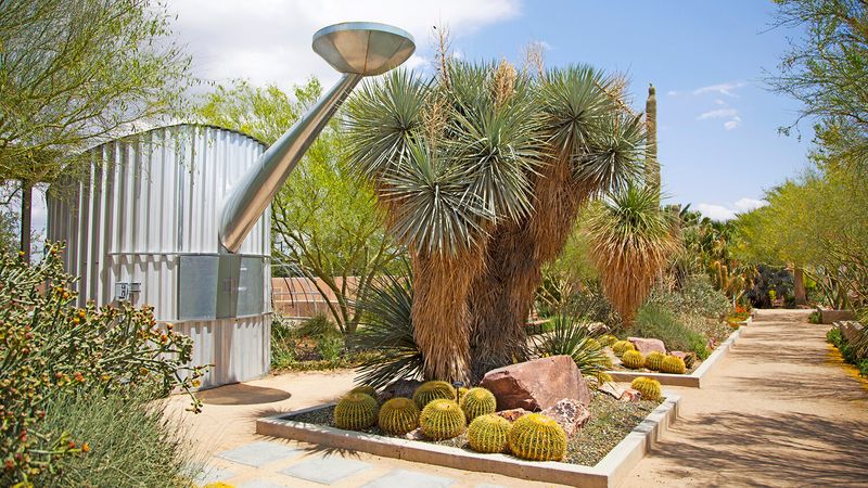 The Springs Preserve