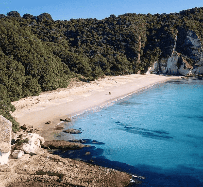The Deserted Beaches of New Zealand