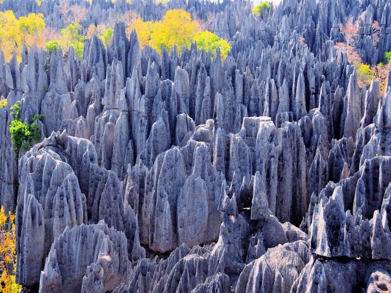 The Mystical Stone Forest, Madagascar