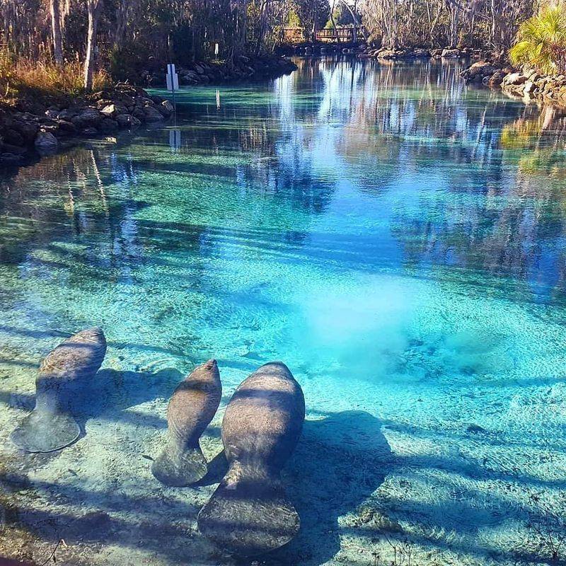 Three Sisters Springs