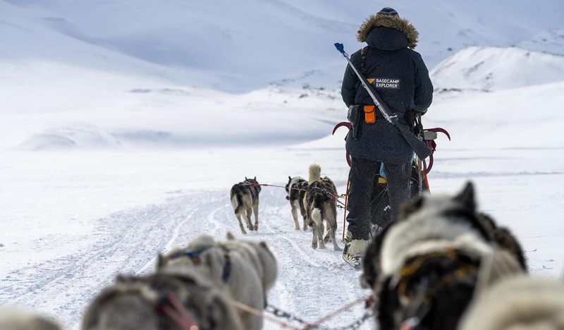 The Arctic Explorer