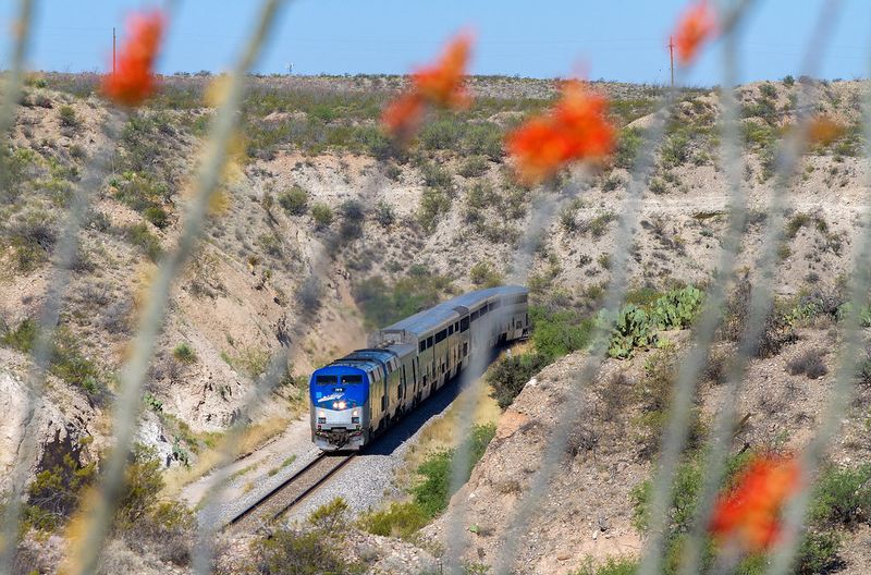 The Desert Mirage Line