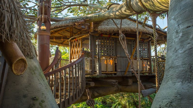 The Hidden Gem of the Swiss Family Treehouse
